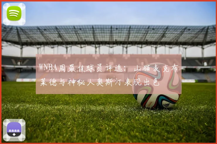 WNBA周最佳球员评选：山猫麦克布莱德与神秘人奥斯汀表现出色